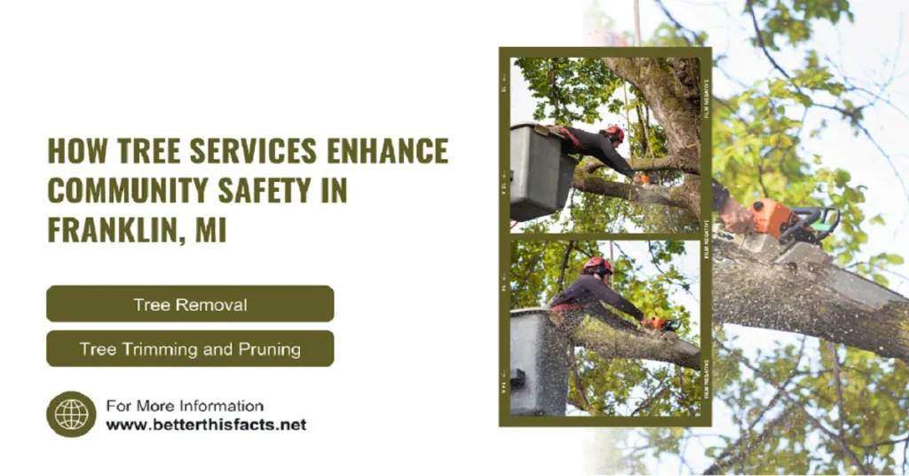 tree service in Franklin, MI