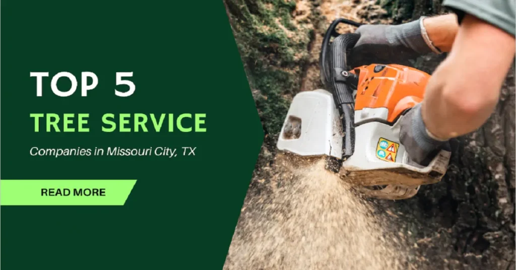the best arborists in Duval County FL