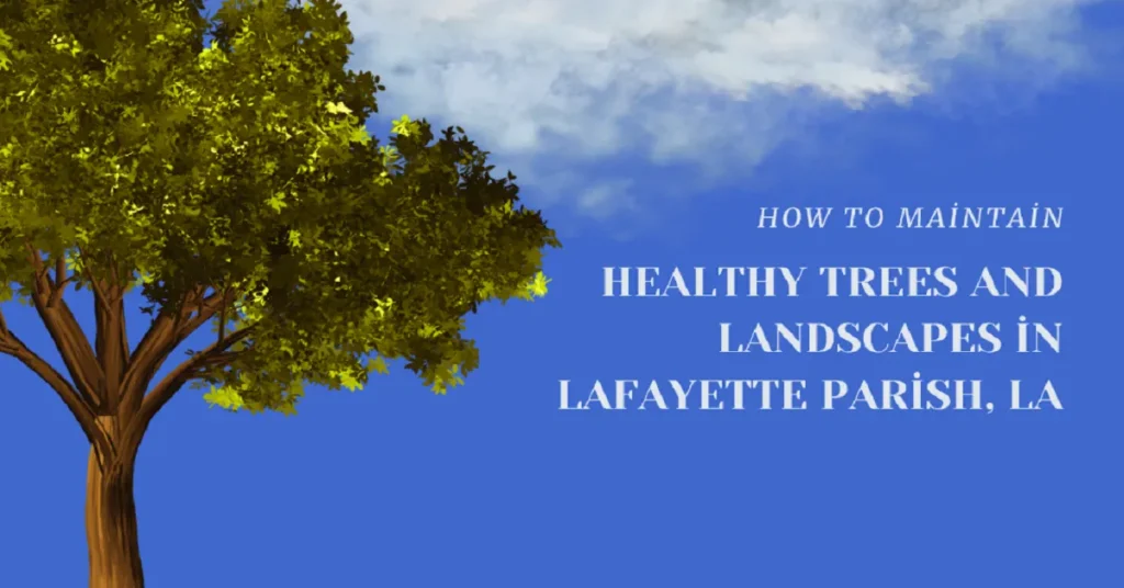 professional tree service company in Lafayette Parish, LA