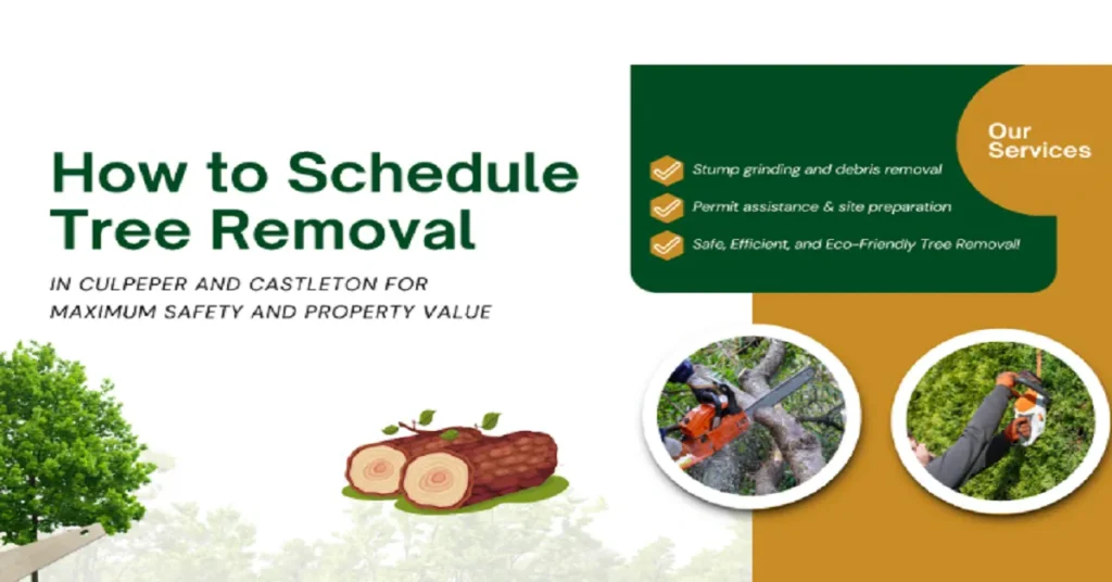 schedule tree removal in Culpeper or Castleton
